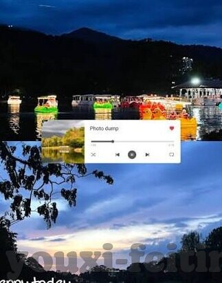 章鱼彩票世界杯-章鱼彩票世界杯，一场娱乐与体育的跨界盛宴